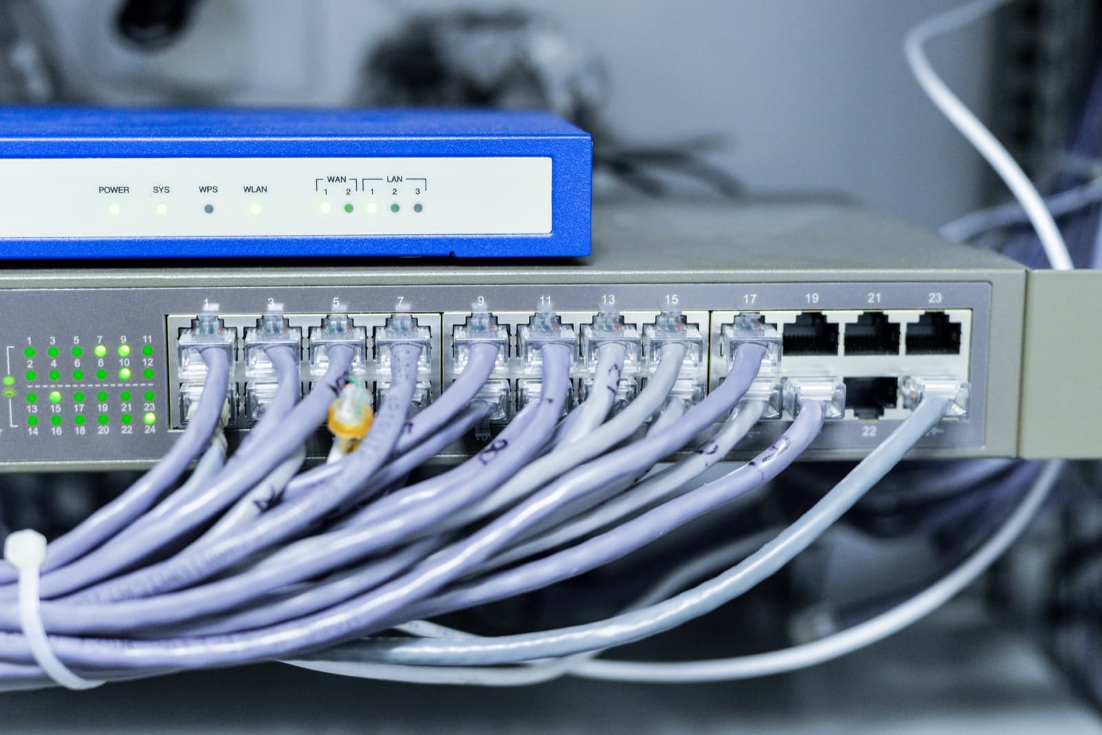 Network switch with multiple patch cables connected to labelled ports